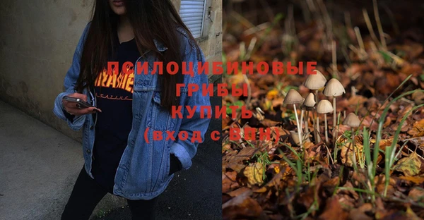 прущий лед Горно-Алтайск