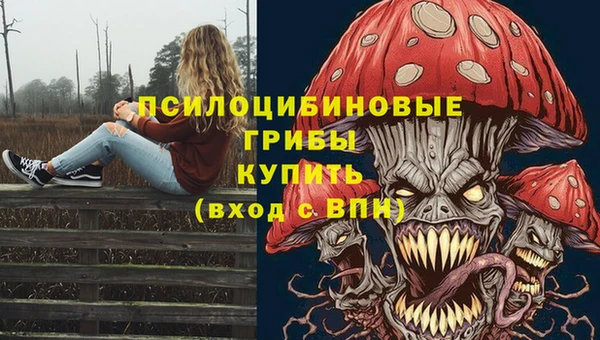 стаф Горнозаводск