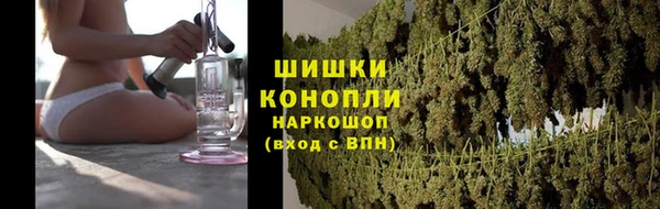 стаф Горнозаводск