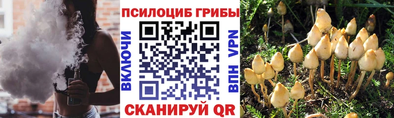 Галлюциногенные грибы MAGIC MUSHROOMS  Купить закладки  Бузулук 